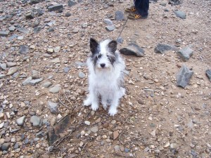 Patchen will not stand for animal torture. She says call Jody now. Patchen on the banks of the Arkansas River