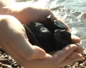Coal